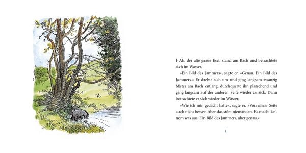 Produktbild: I-Ah hat Geburtstag