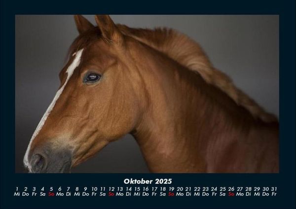 Produktbild: Die Welt der Pferde 2025 Fotokalender DIN A4