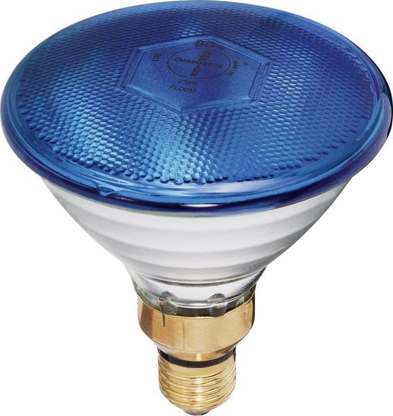 Eurolite Par-38 FL blau Halogen Lichteffekt Leuchtmittel 230 V E27 80 W Blau dimmbar