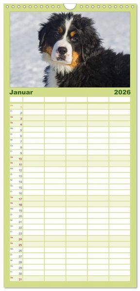 Produktbild: Familienplaner 2026 - Treuer Freund Berner Sennenhund mit 5 Spalten (Wandkalender, 21 x 45 cm) CALVENDO