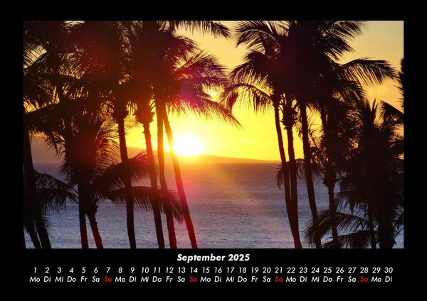 Produktbild: Palmentraum 2025 Fotokalender DIN A3