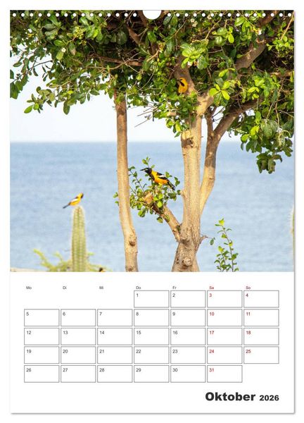 Produktbild: Curacao - Terminplaner (Wandkalender 2026 DIN A3 hoch), CALVENDO Monatskalender