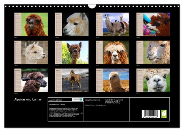 Produktbild: Alpakas und Lamas (Wandkalender 2026 DIN A3 quer), CALVENDO Monatskalender