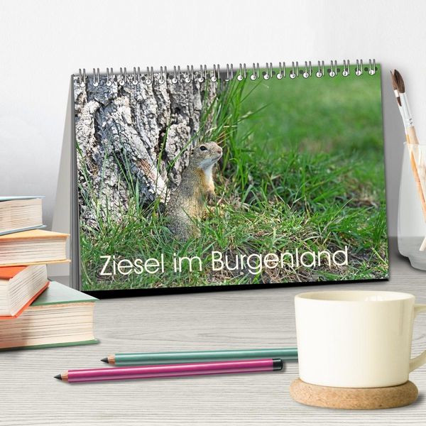 Produktbild: Ziesel im Burgenland (Tischkalender 2026 DIN A5 quer), CALVENDO Monatskalender