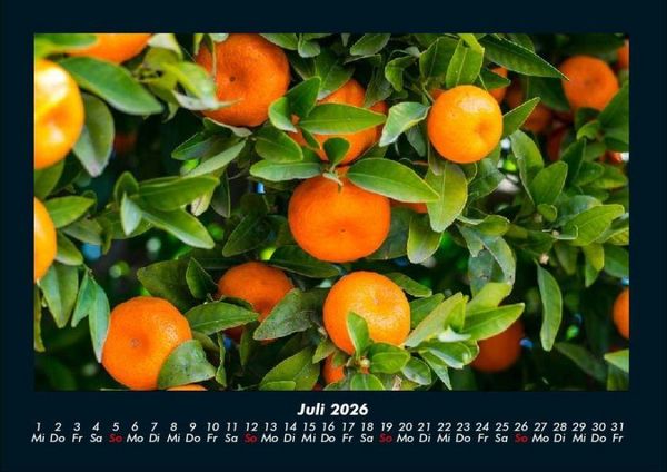 Produktbild: Obstkalender 2026 Fotokalender DIN A4