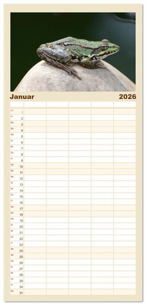Produktbild: Familienplaner 2026 - Frosch Karl, Hans und Max im Einklang der Natur mit 5 Spalten (Wandkalender, 21 x 45 cm) CALVENDO