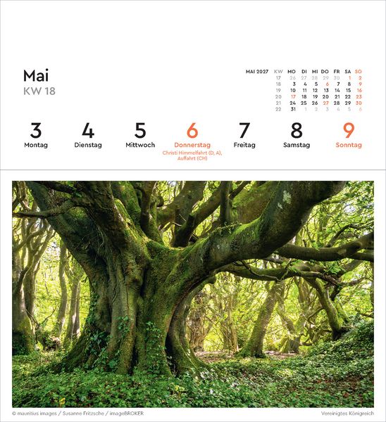 Produktbild: Alte B&auml;ume - KUNTH Postkartenkalender 2027