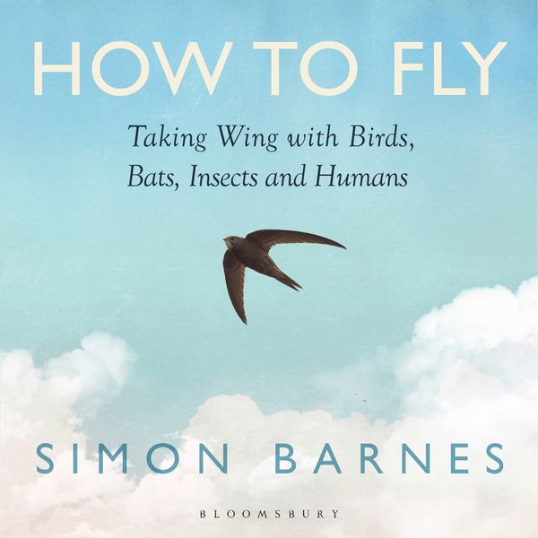 Produktbild: How to Fly