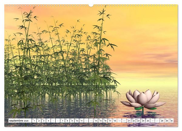 Produktbild: LOTUS M&Eacute;DITATIFS (Calendrier mural 2026 DIN A2 vertical) calendrier de bureau