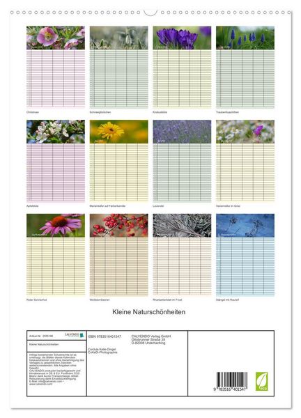 Produktbild: Kleine Natursch&ouml;nheiten (hochwertiger Premium Wandkalender 2026 DIN A2 hoch), Kunstdruck in Hochglanz