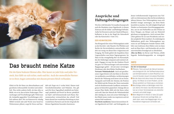 Produktbild: Praxishandbuch Katzen