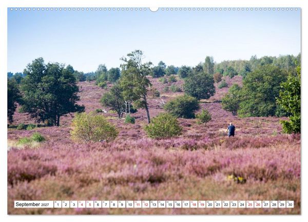 Produktbild: Radland Deutschland - L&uuml;neburger Heide (hochwertiger Premium Wandkalender 2027 DIN A2 quer), Kunstdruck in Hochglanz