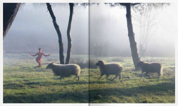 Produktbild: Animalia