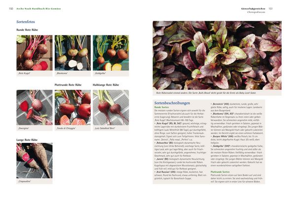 Produktbild: Handbuch Bio-Gem&uuml;se