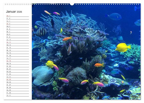 Produktbild: Malediven (Wandkalender 2026 DIN A2 quer), CALVENDO Monatskalender