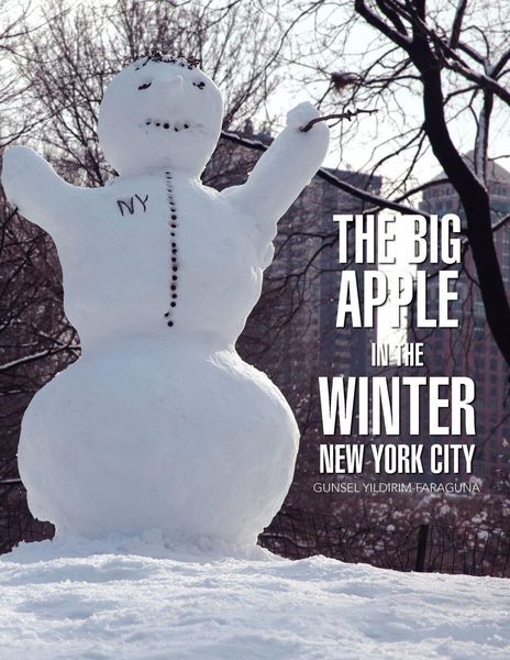Produktbild: Big Apple In The Winter