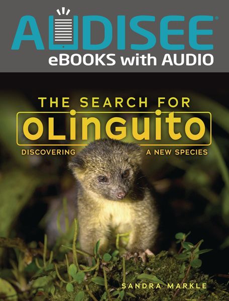 Produktbild: Search for Olinguito