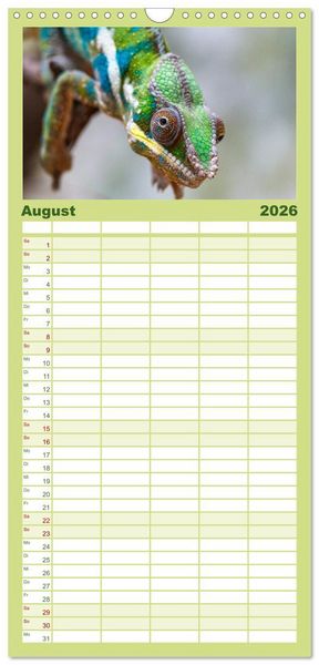 Produktbild: Familienplaner 2026 - Echsen - Schuppige &Uuml;berlebensk&uuml;nstler mit 5 Spalten (Wandkalender, 21 x 45 cm) CALVENDO