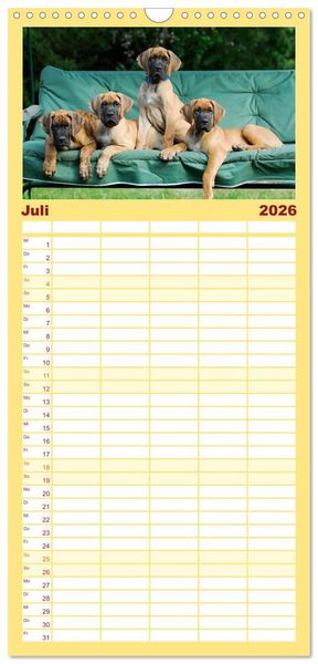 Produktbild: Familienplaner 2026 - Deutsche Dogge mit 5 Spalten (Wandkalender, 21 x 45 cm) CALVENDO