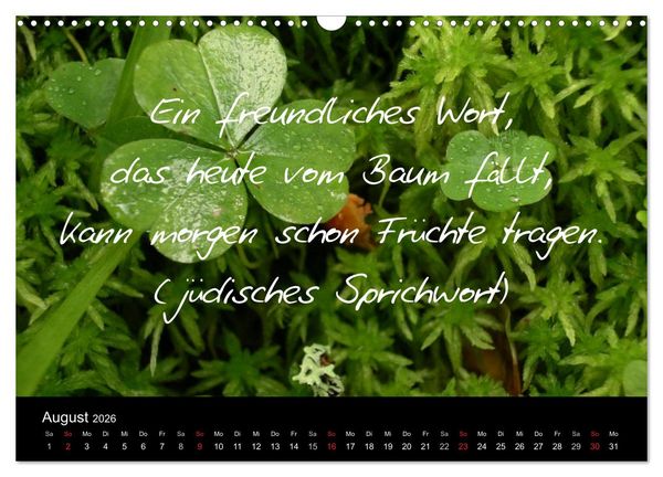 Produktbild: Positiv durch&acute;s Jahr (Wandkalender 2026 DIN A3 quer), CALVENDO Monatskalender