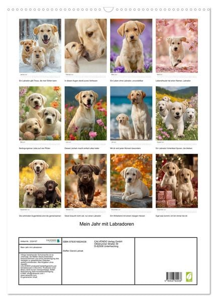 Produktbild: Mein Jahr mit Labradoren (Wandkalender 2027 DIN A2 hoch), CALVENDO Monatskalender
