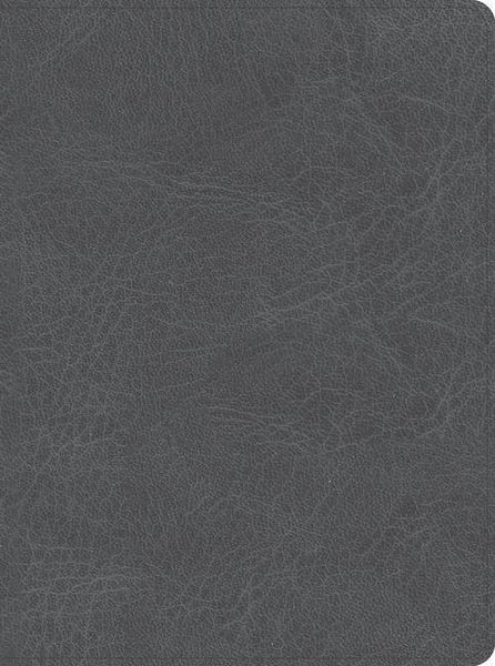Produktbild: CSB He Reads Truth Bible, Smoke Leathertouch, Indexed