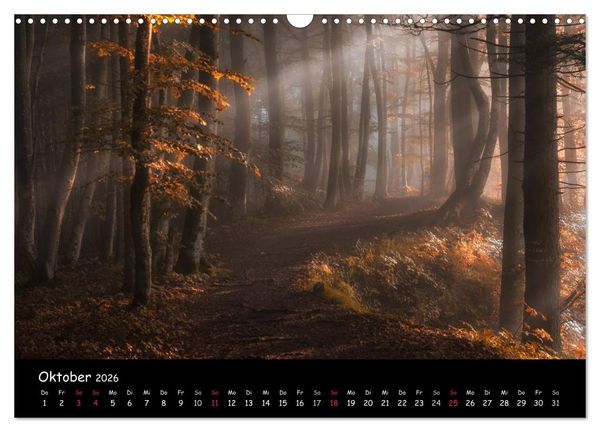 Produktbild: Faszination Morgenlicht (Wandkalender 2026 DIN A3 quer), CALVENDO Monatskalender