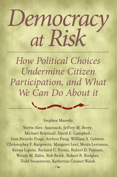 Produktbild: Democracy At Risk