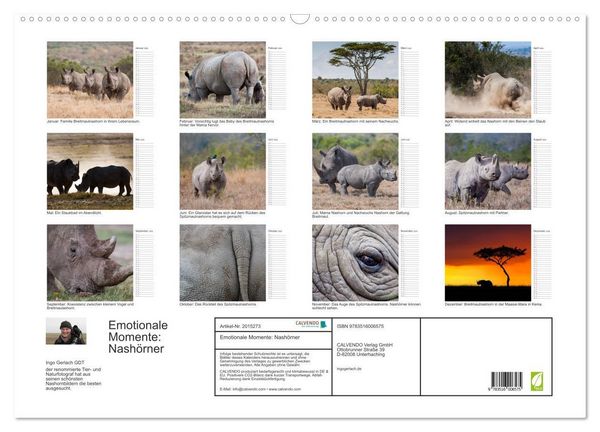Produktbild: Emotionale Momente: Nash&ouml;rner (Wandkalender 2026 DIN A2 quer), CALVENDO Monatskalender