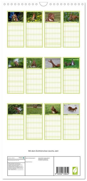 Produktbild: Familienplaner 2027 - Mit dem Eichh&ouml;rnchen durchs Jahr mit 5 Spalten (Wandkalender, 21 x 45 cm) CALVENDO