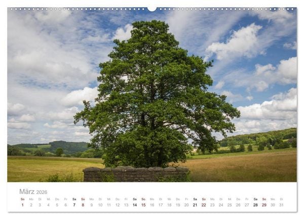 Produktbild: Wundersch&ouml;ne B&auml;ume im Sauerland (hochwertiger Premium Wandkalender 2026 DIN A2 quer), Kunstdruck in Hochglanz