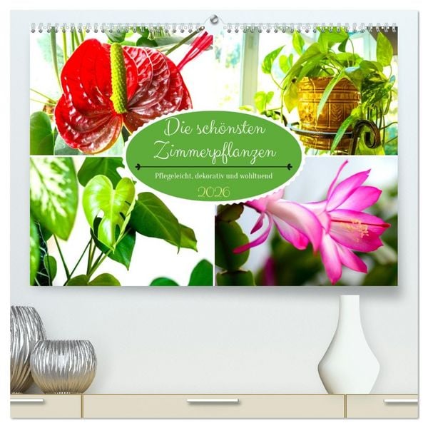 Die schnsten Zimmerpflanzen. Pflegeleicht, dekorativ und wohltuend ( hochwertiger Premium Wandkalender 2026 DIN A2 quer), Kunstdruck in  Hochglanz" kaufen