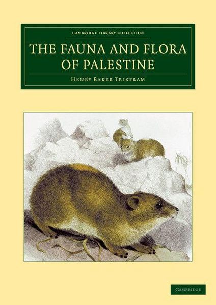 Produktbild: The Fauna and Flora of Palestine