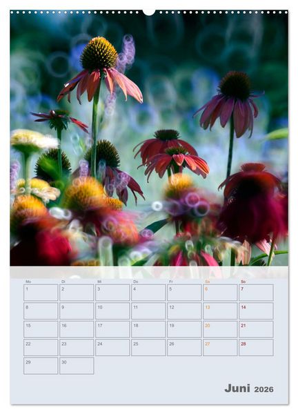 Produktbild: Magie im Garten (Wandkalender 2026 DIN A2 hoch), CALVENDO Monatskalender