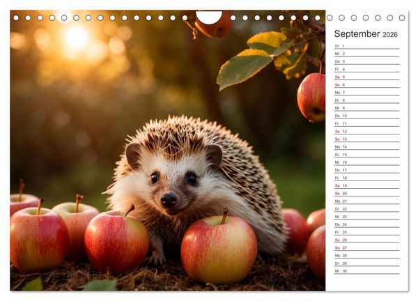 Produktbild: Stachelstars (Wandkalender 2026 DIN A4 quer), CALVENDO Monatskalender