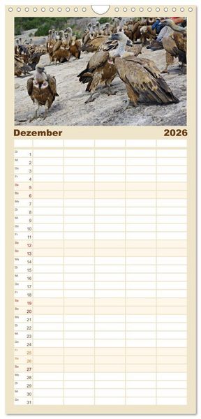 Produktbild: Familienplaner 2026 - Geier - die Gesundheitspolizei! mit 5 Spalten (Wandkalender, 21 x 45 cm) CALVENDO