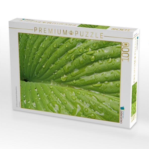 Produktbild: CALVENDO Puzzle Ein Motiv aus dem Kalender Kraftquelle Gr&uuml;n | 1000 Teile Lege-Gr&ouml;&szlig;e 64x48cm Foto-Puzzle f&uuml;r gl&uuml;ckliche Stunden