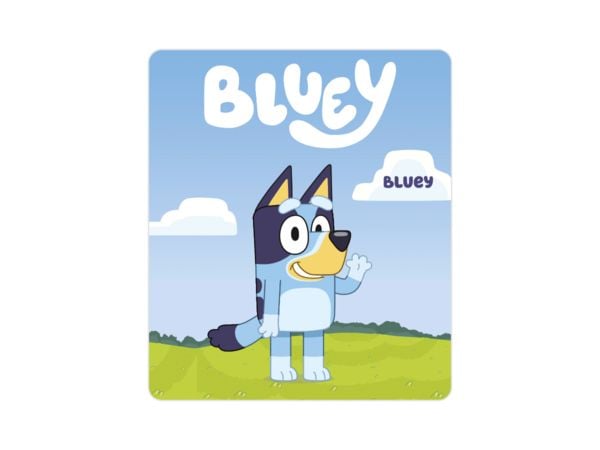Produktbild: 833 Bluey Multipack