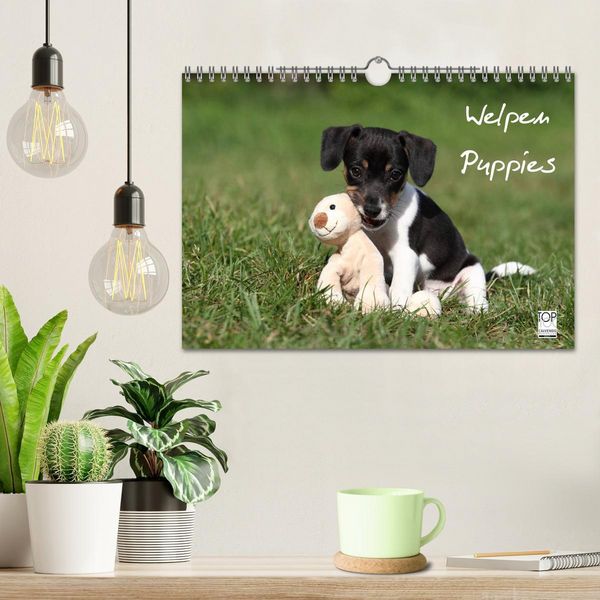 Produktbild: Welpen - Puppies (Wandkalender 2026 DIN A4 quer), CALVENDO Monatskalender