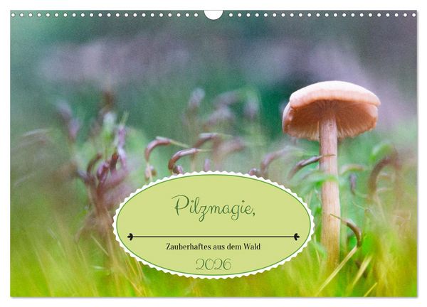 Produktbild: Pilzmagie (Wandkalender 2026 DIN A3 quer), CALVENDO Monatskalender