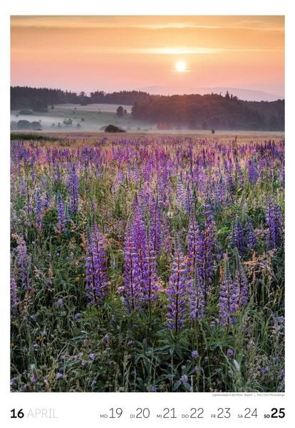Produktbild: Natur Wochenkalender 2027