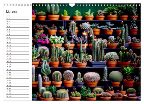 Produktbild: Kaktuszauberland (Wandkalender 2026 DIN A3 quer), CALVENDO Monatskalender