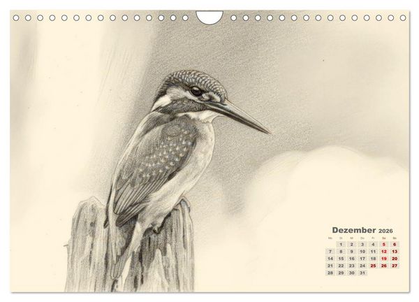 Produktbild: Wilde Seelen - Tierische Momente in Graphit (Wandkalender 2026 DIN A4 quer), CALVENDO Monatskalender