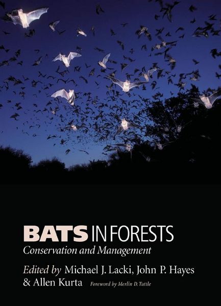 Produktbild: Bats in Forests