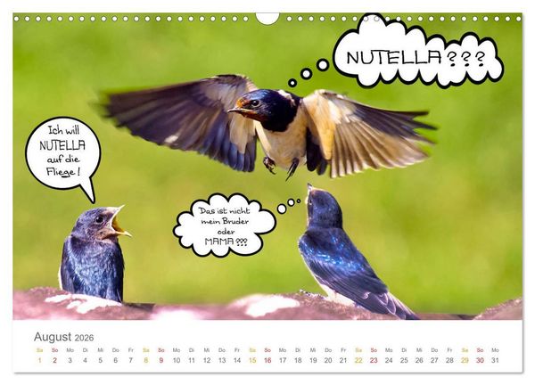 Produktbild: Wenn Schwalben reden (Wandkalender 2026 DIN A3 quer), CALVENDO Monatskalender