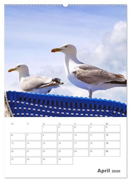 Produktbild: Mein Warnem&uuml;nde - Das moderne Ostseebad im Norden von Rostock (Wandkalender 2026 DIN A2 hoch), CALVENDO Monatskalender