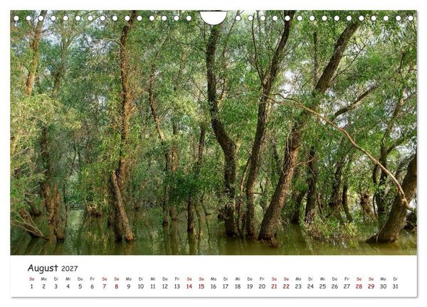 Produktbild: Donau-Delta (Wandkalender 2027 DIN A4 quer), CALVENDO Monatskalender