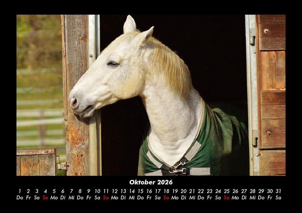 Produktbild: Tierkalender 2026 Fotokalender DIN A3
