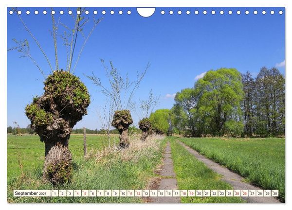 Produktbild: Brandenburg - Drei D&ouml;rfer im Naturpark Nuthe-Nieplitz - Fresdorf, St&uuml;cken, K&ouml;rzin (Wandkalender 2027 DIN A4 quer), CALVENDO Monatskalender
