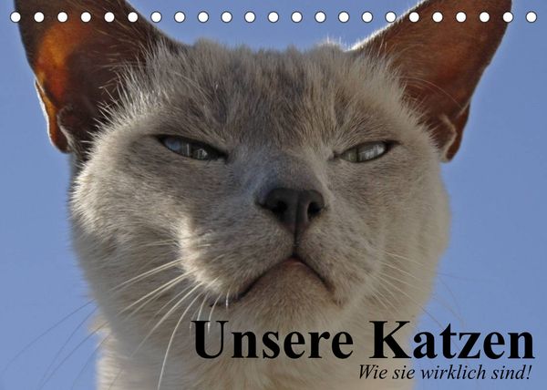 Produktbild: Unsere Katzen. Wie sie wirklich sind! (Tischkalender 2022 DIN A5 quer)